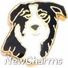 H1501 Black And White Dog Floating Locket Charm