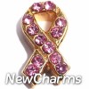H1670 Pink Ribbon With Stones Floating Locket Charm