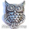 H4024 Owl Floating Locket Charm