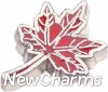 H4504 Red Leaf Floating Locket Charm