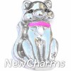 H5048 Cat Pink Collar Floating Locket Charm