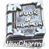 H6219 Vintage Silver Book Of Mormom Floating Locket Charm