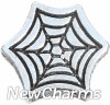 H6224 Silver Spider Web Floating Locket Charm