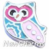 H6502 Pretty Owl Floating Locket Charm