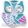 H6506 Owl With Stones Floating Locket Charm