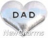 H7114 Dad Silver Heart Floating Locket Charm