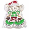 H7549 Elf Floating Locket Charm