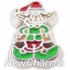 H7549 Elf Floating Locket Charm