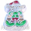 H7549 Elf Silver Trim Floating Locket Charm