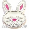 H7634 Rabbit Face Floating Locket Charm