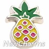 H7646 Colorful Pineapple Floating Locket Charm