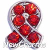 H7695 Ribbon Wtih Red Stones Floating Locket Charm