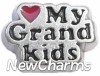 H8054 Love My Grandkids Floating Locket Charm