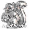 H8089 Squirrel With Stone Floating Locket Charm