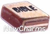 H8166 Rose Gold Bible Floating Locket Charm