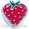 H8221 Strawberry Floating Locket Charm