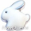 H8240 White Bunny Silver Trim Floating Locket Charms