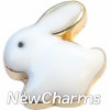 H8241 White Bunny Gold Trim Floating Locket Charms