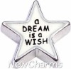 H8295 A Dream Is A Wish White Star Floating Locket Charm