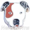 H8333 Pitbull Floating Locket Charm