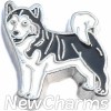 H8335 Husky Floating Locket Charm