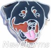 H8337 Rottweiler Floating Locket Charm