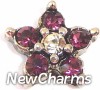 H9065-12 Star With Purple Stones Floating Locket Charm