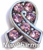 H9073-6 Ribbon With Big Pink Stones Floating Locket Charm