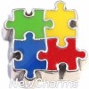 H9143 Puzzle Pieces Floating Locket Charm