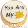 H9748 You Are My Sunshine Floating Locket Charm