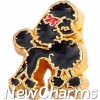 H9781 Black Poodle Floating Locket Charm