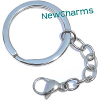 Stainless Steel Keychain