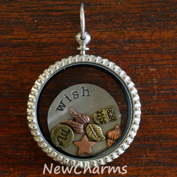 SS91  Stainless Steel Silver CZ Big Curvy  Heart Floating Locket