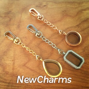 Double Hook Stainless Steel Keychain for Floating Lockets