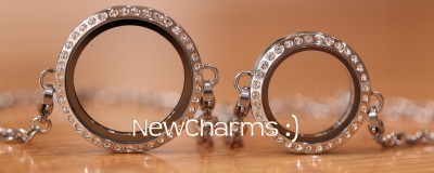 TS11 Twist Stainless Steel Silver Big Round CZ Loose Floating Locket