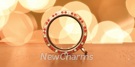 VS21 Versatile Loose Silver CZ Medium Round Locket