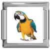 A10324 Parrot on White Italian Charm