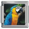 A10325 Parrot in Trees Italian Charm
