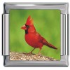 A10357 Cardinal Bird Italian Charm 