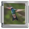 A10386 Hummingbird Italian Charm