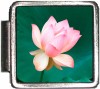 A10393 Light Pink Flower Blooming Italian Charm