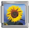 A10395 Sunflower Italian Charm