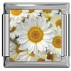 A10397 Daisy Flower Italian Charm 