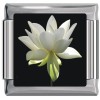 A10398 White Flower Italian Charm 