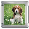 A10408 Beagle Puppy Dog Italian Charm