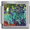 A10431 Irises Italian Charm