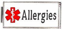 A50032 Allergies Medical Alert Italian Charm