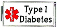 A50042 Type 1 One Diabetes Medical Alert Italian Charm