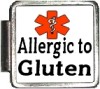 X085 Allergic to Gluten Italian Charm