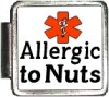 X086 Allergic to Nuts Italian Charm